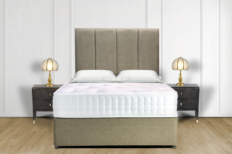 Dax Divan + 54